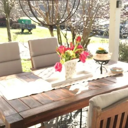 Ue Terrasse & Kamin Fuer Hundefreunde *