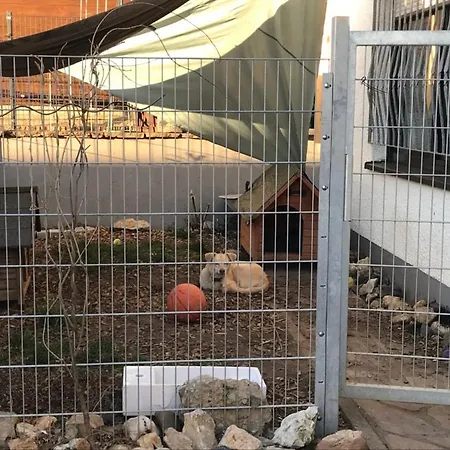 Ue Terrasse & Kamin Fuer Hundefreunde Apartment